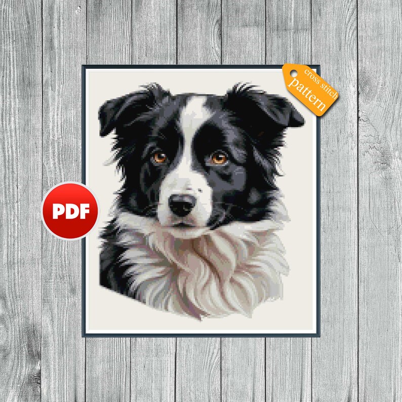 PDF Border Collie Cross Stitch Pattern Collie Dog Cross Stitch Pattern ...