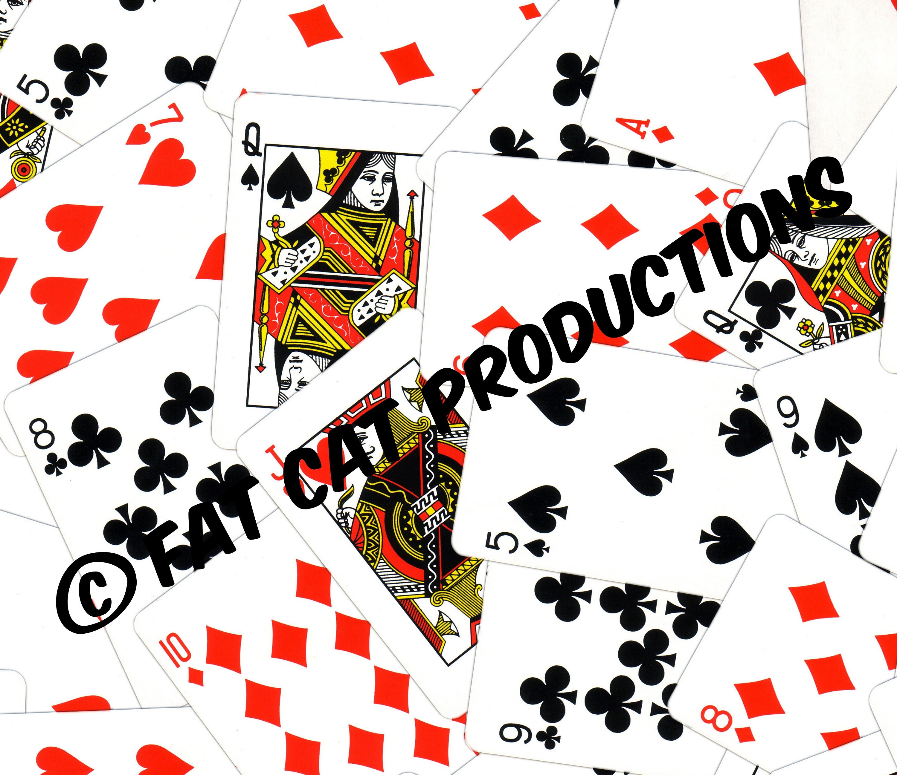 House of Cards Rash Guard - Fat Cat Swimwear - Playing Cards - Poker ...
