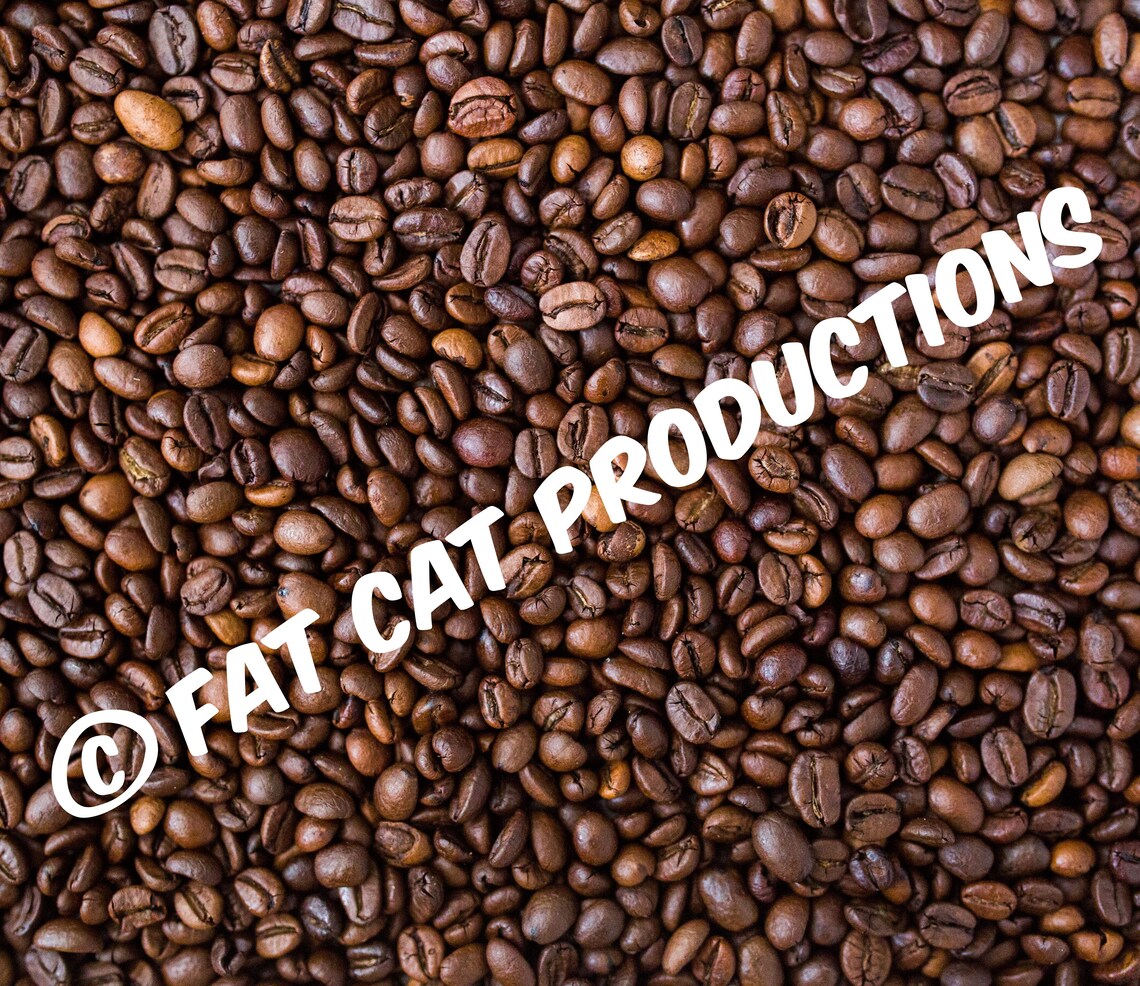 Where Have You Bean All My Life Rash Guard - Fat Cat - Coffee Rashie ...
