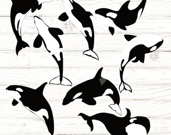 Download Orca Svg Etsy