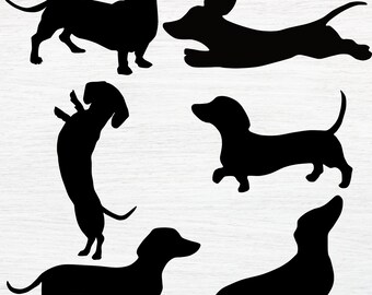 Download Daschund Svg Etsy