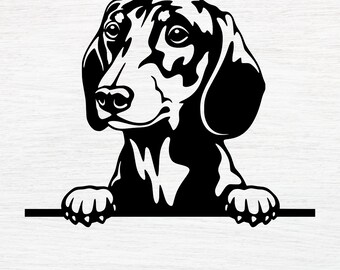 Download Dachshund Svg Etsy