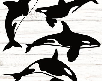 Download Orca Svg Etsy
