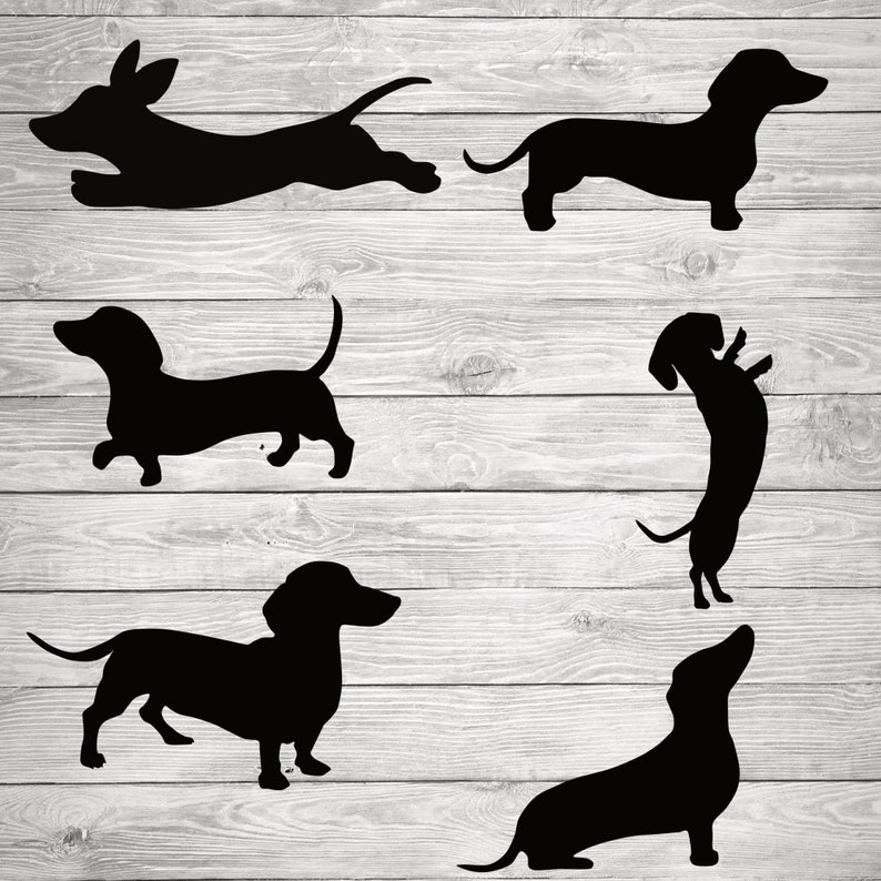 Download Cricut Commercial Use Silhouette Cut Files Sausage Dog Dachshund Dog Svg Animal Svg Pets Svg Dachshund Svg Cutting Template Digital Prints Art Collectibles Leadcampus Org