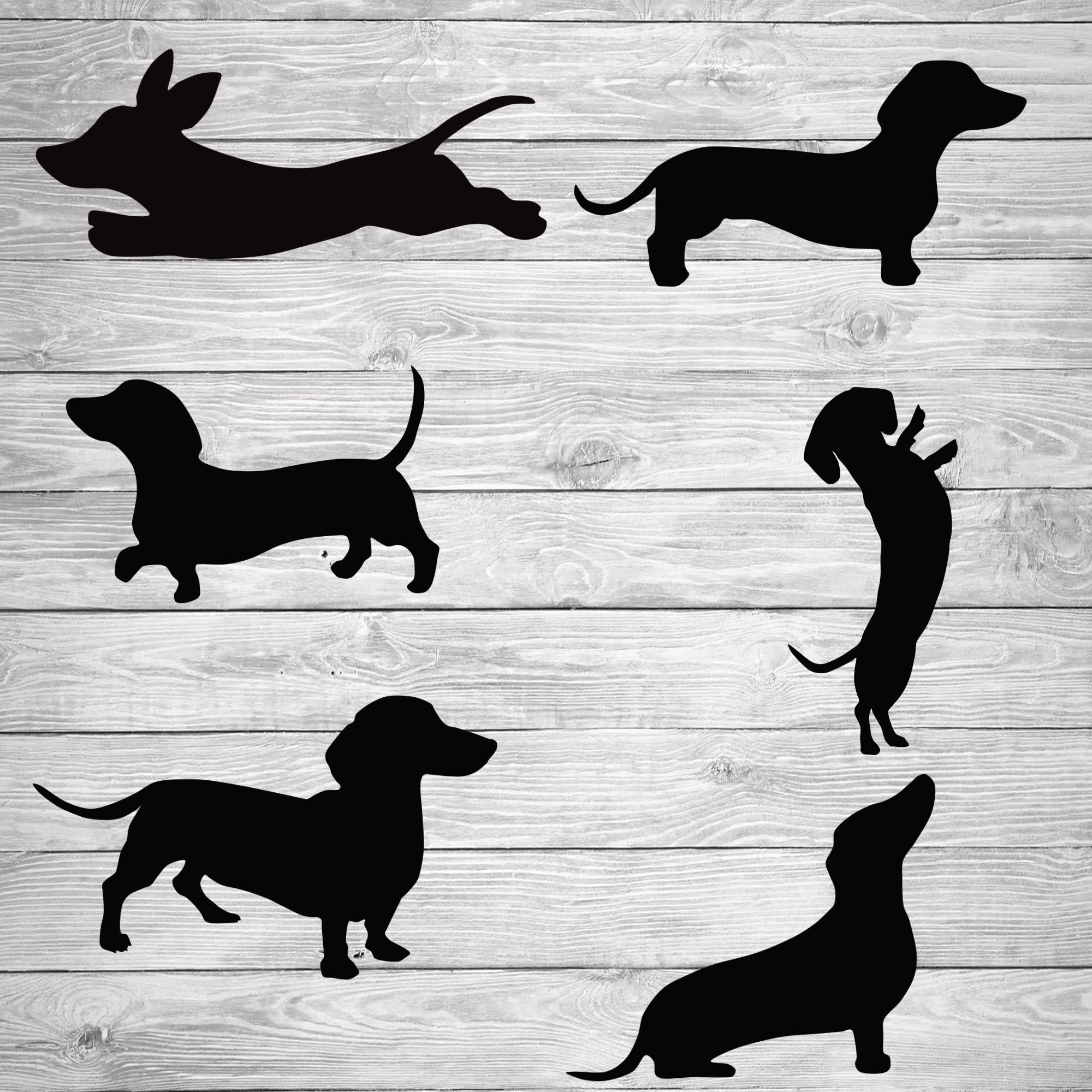 Dachshund Dog Printable With Svg Files For Cricut Or Silhouette Use As