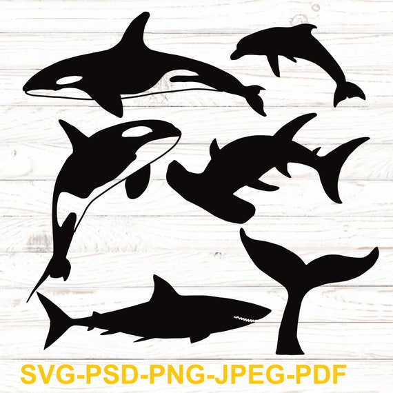 Download Killer Whale Svg Shark Svg Dolphin Svg Hammerhead Shark Etsy