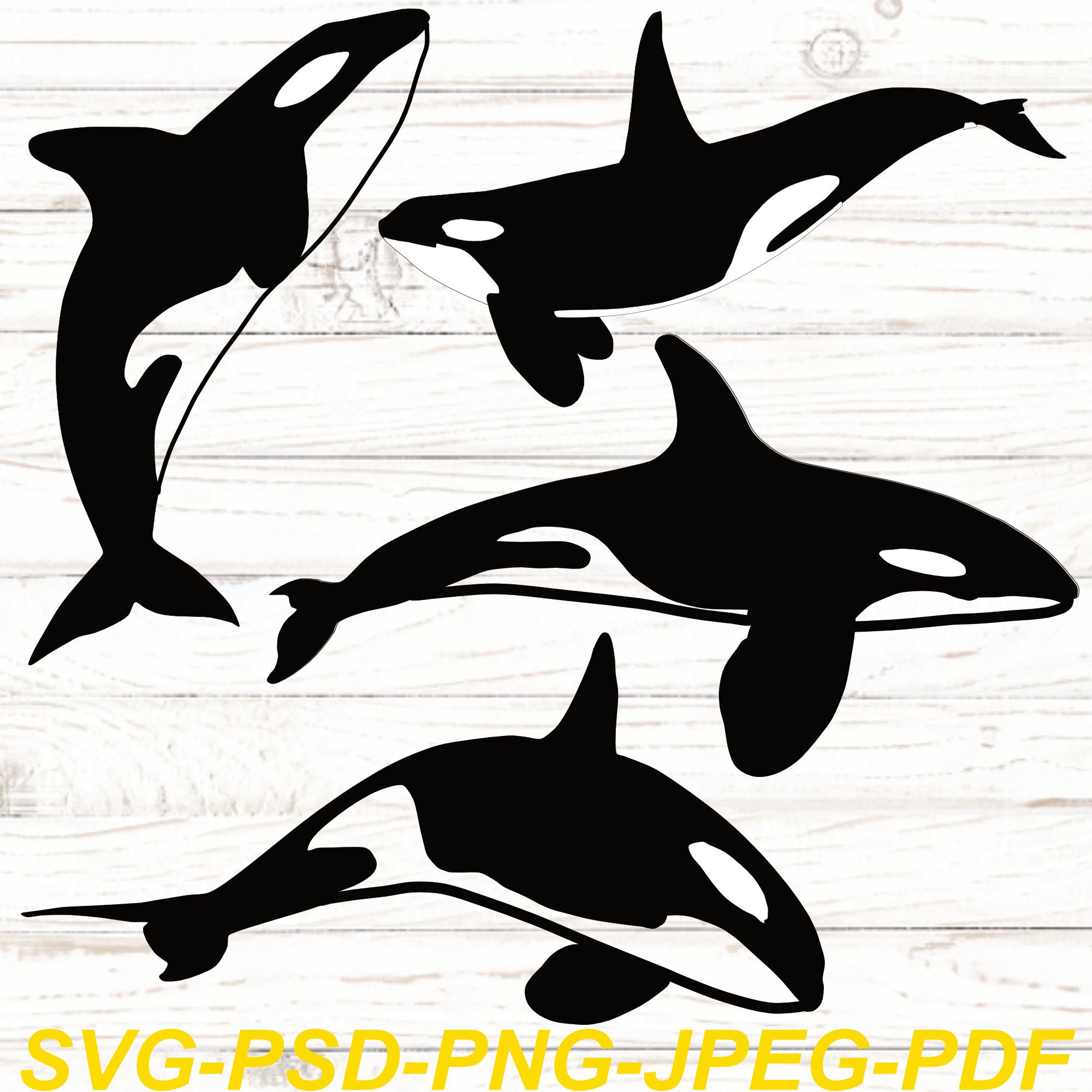 Download Orca Svg Killer Whale Svg Orca Clipart Whale Svg Orca Png Etsy