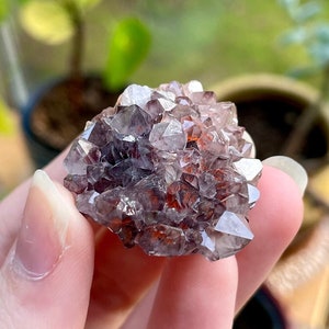 Collezione Fuoco e Ghiaccio Thunder Bay Ametista (Codice 11007)