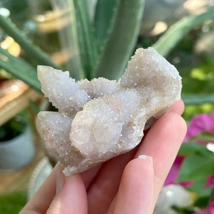 Spirit (Cactus) Amethyst (Code 11016)