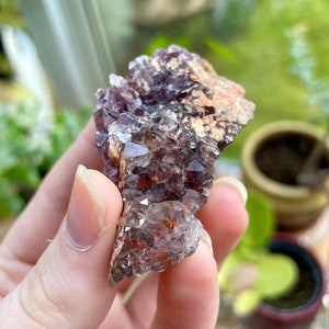 Collezione Fuoco e Ghiaccio Thunder Bay Ametista (Codice 11008)