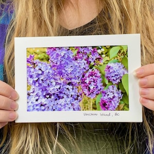 Carte pliante - Buisson de lilas - 01109