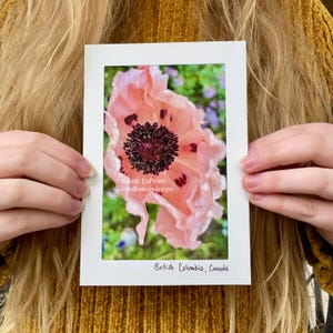 Folding Card - Pink Poppy - 01093