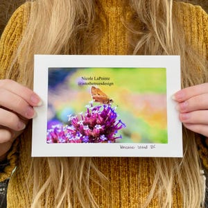 Carte pliante - Papillon de nuit sur fleur mauve - 01024
