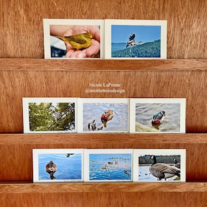 LOT de 8 cartes "Oiseaux"