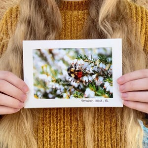 Carte pliable - Orange Bumble - 01097