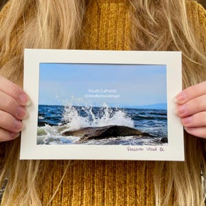 Carte pliante - Gabriola Wave - 01010