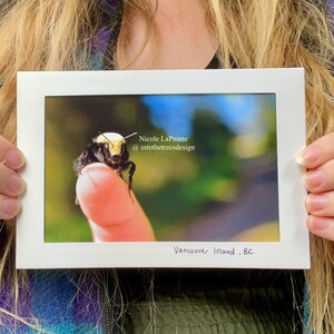 Carte pliante - Bumble Friend - 01104