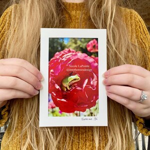 Carte pliante - Rose grenouille - 01026