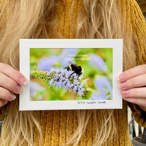 Carte pliante - Abeille verte - 01014