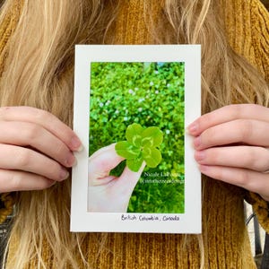 Carte pliable - Trèfle à 5 feuilles - 01021