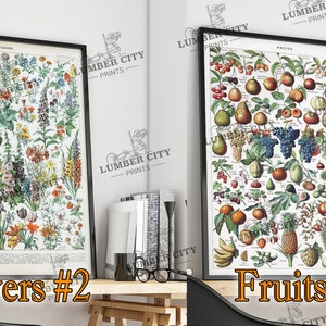 Pictured left: Flowers #2. Pictured right: Fruits #1. Adolphe Millot Botanical Prints