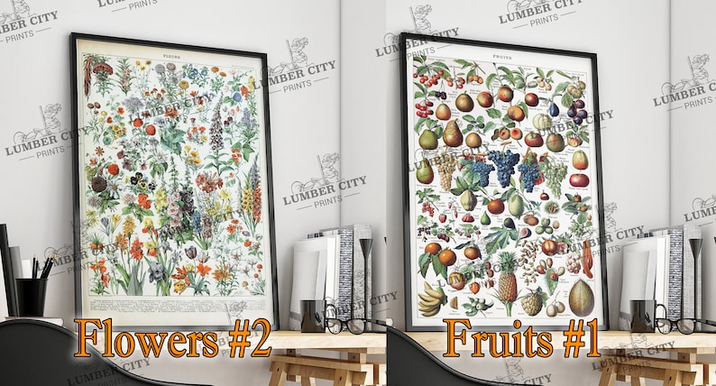 Pictured left: Flowers #2. Pictured right: Fruits #1. Adolphe Millot Botanical Prints