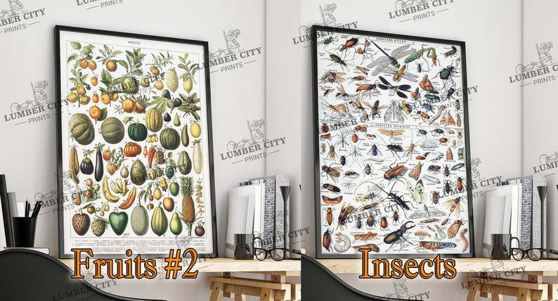 Pictured left: Fruits #2. Pictured right: Insects. Adolphe Millot Botanical Prints