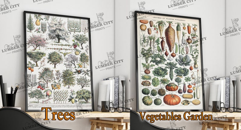 Pictured left: Trees. Pictured right: Vegetables Garden. Adolphe Millot Botanical Prints