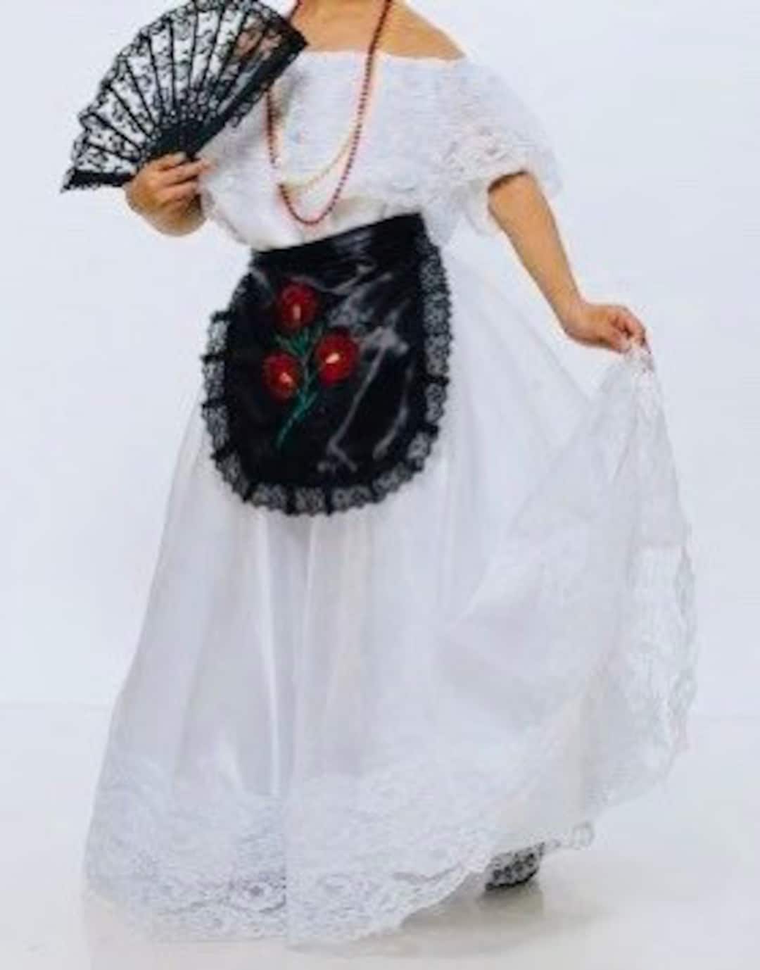 Veracruz Girls XS-XL Folklorico Fiesta Dance Traditional Dress - Etsy Israel Veracruz Girls XS-XL Folklorico Fiesta Dance Traditional Dress - Etsy Israel