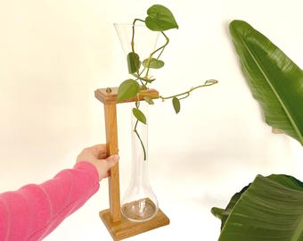 Glass Propagation Bud Vase with Wooden Stand – Mid-Century Modern Home Decor