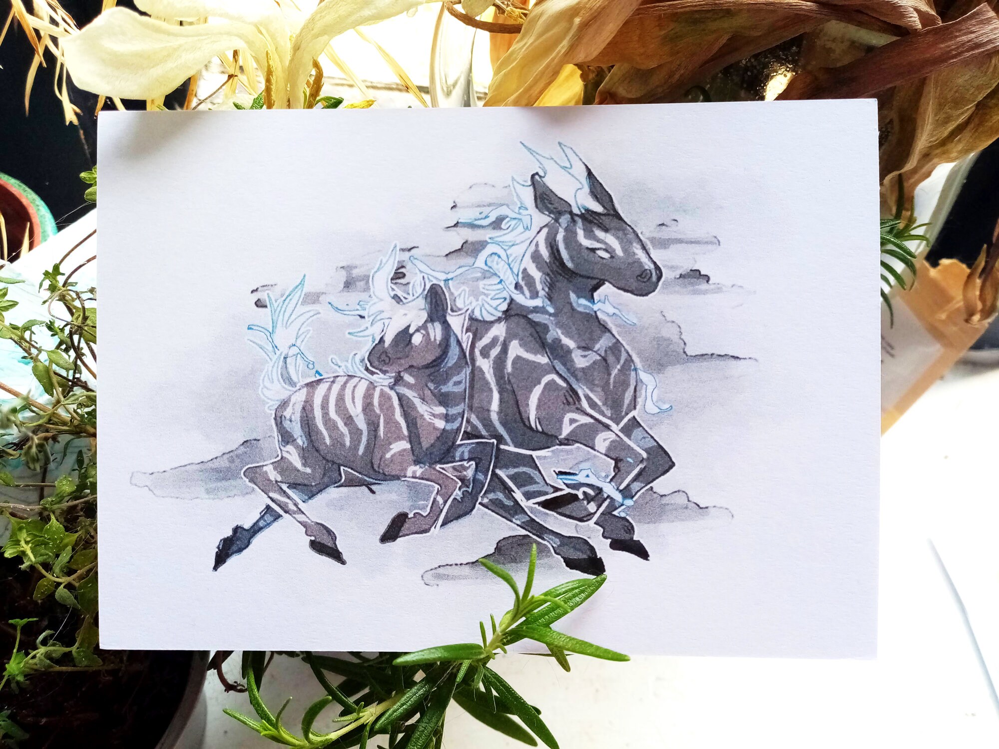 Pokemon Postcards Set of 4 A6 Postcards Etsy