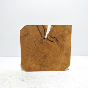 Balkenscheibe, Holzplatte ,Holz ,Holzdeko, Dekoration, gestockte Pappel