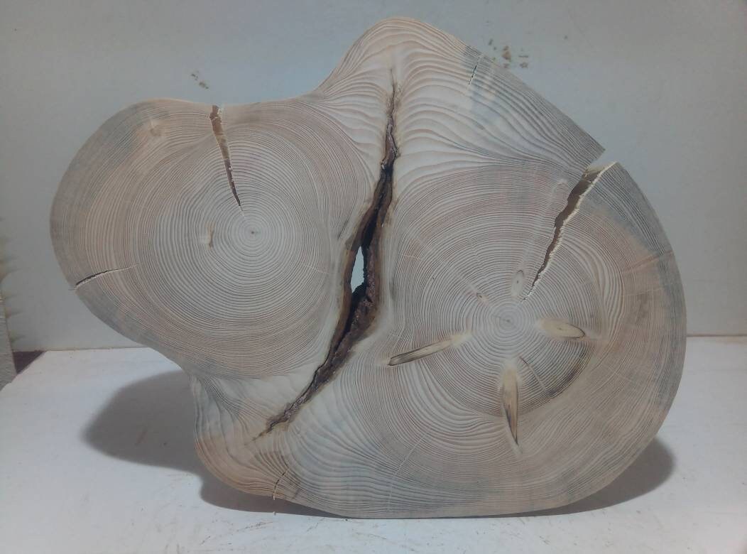 tree size disk tree size disk