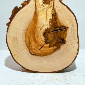 Groß,Baumscheibe ,Holzscheibe ,Holz ,Holzdeko , Bastelholz, gestockte Weide extra dick: 5,2 cm