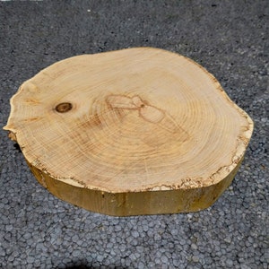Könnte beinhalten: Eine natürliche Holzscheibe in hellbrauner Farbe mit einem rauen, unregelmäßigen Rand. Die Holzmaserung ist sichtbar und die Mitte der Scheibe hat einen dunkleren braunen Knoten.