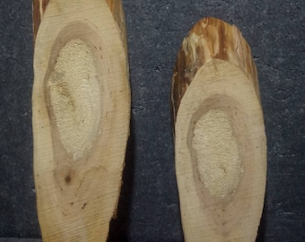Zwei Baumscheiben ,Holzscheiben ,Holz ,Holzdeko , Bastelholz, Unbearbeitet, Gestockte Vogelbe, zum selber schleifen,L von: 30- 39 cm