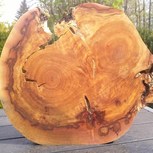 Op de afbeelding: Een dwarsdoorsnede van een boomstam, met de natuurlijke houtnerf en groeiringen. Het hout heeft een warme, roodbruine tint met donkerbruine strepen en knopen. De onregelmatige vorm en scheuren dragen bij aan de rustieke charme.