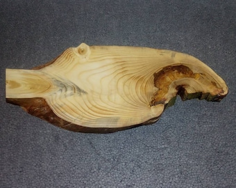 Könnte beinhalten: Eine große, natürliche Holzscheibe mit einer einzigartigen, unregelmäßigen Form und einem markanten Maserungsmuster. Das Holz ist hellbraun mit einem dunkleren braunen Zentrum. Die Scheibe ist perfekt zum Basteln oder zur Dekoration des Hauses.
