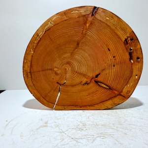 Op de afbeelding: Een close-up van een ronde houten schijf met zichtbare groeiringen. Het hout is lichtbruin van kleur met een natuurlijke afwerking.