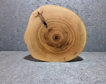 Baumscheibe,Holzscheibe ,Holz ,Holzdeko , Esche, D: 23- 26 cm