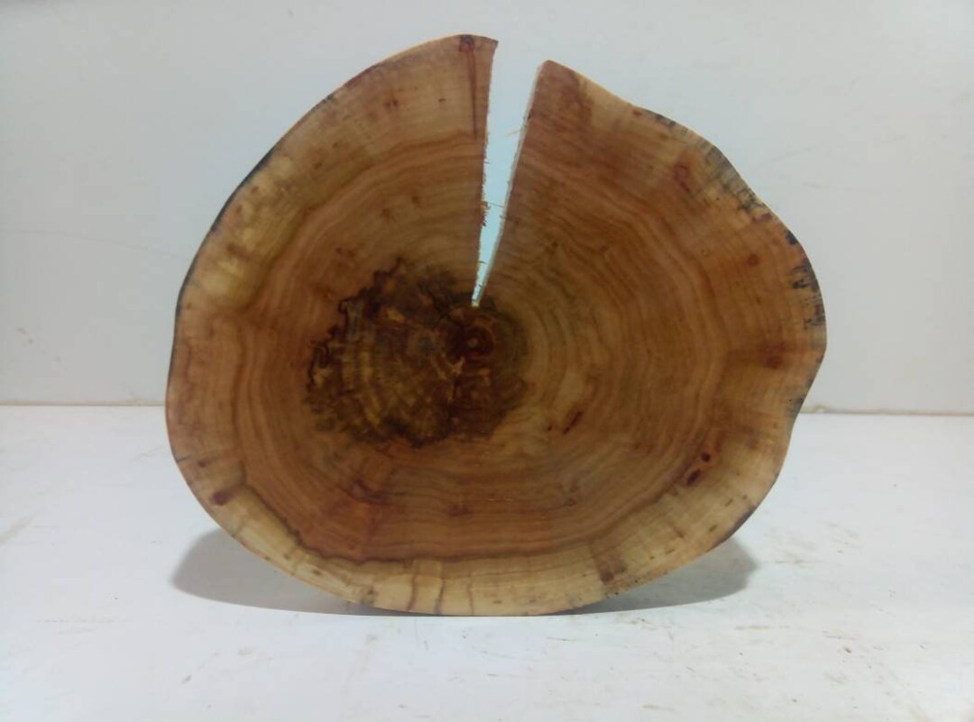 Tree Disc, Wooden Disc, Wood, Wooden Decoration, Sanded Extra Thin - Etsy