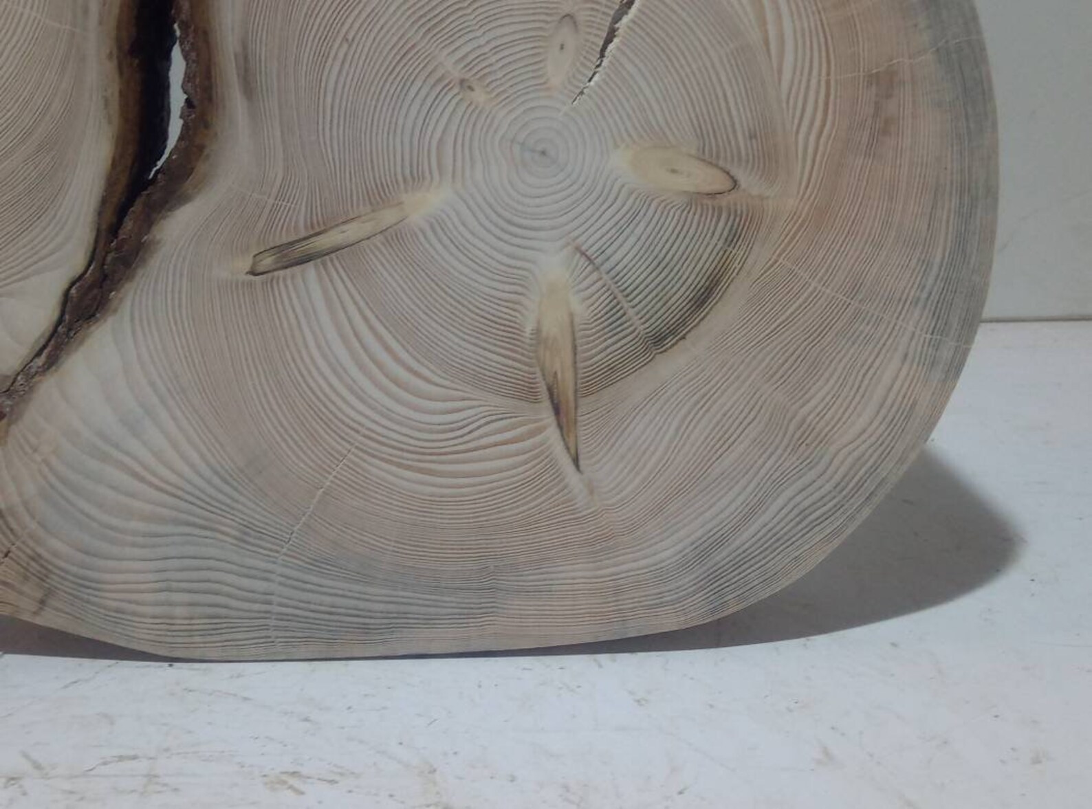 tree size disk tree size disk