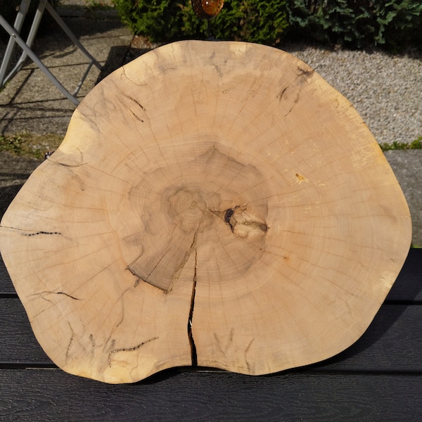 Große Baumscheibe ,Holzscheibe ,Holz ,Holzdeko, Holzplatte, Bastelholz, gestockte Ahorn extra dünn: 2,7 cm