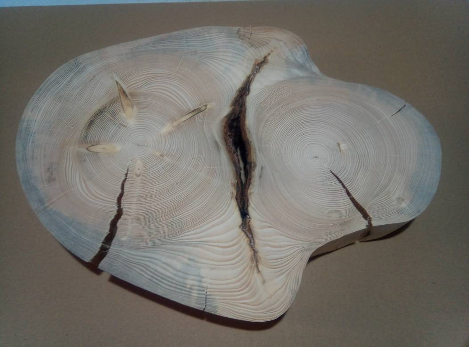 tree size disk tree size disk