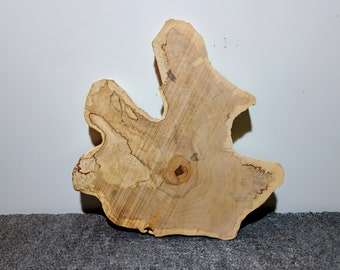 Baumscheibe ,Holzscheibe ,Holz ,Holzdeko , Bastelholz, Unbearbeitet, gestockte Birke zum selber schleifen und bearbeiten,D: 20- 36 cm