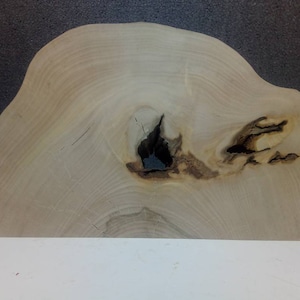 Könnte beinhalten: Eine große, helle Holzscheibe mit einer natürlichen Kante und einem Astloch in der Mitte. Das Holz hat eine hellbraune Farbe und eine glatte Oberfläche.