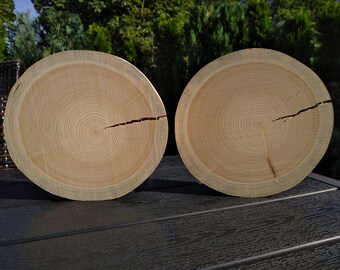Zwei,Baumscheiben ,Holzscheiben ,Holz ,Holzdeko , Bastelholz, UNBEARBEITET, Fichte, zum selber schleifen und bearbeiten