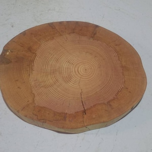 Könnte beinhalten: Eine runde Holzscheibe mit sichtbaren Jahresringen. Das Holz ist hellbraun und naturbelassen.