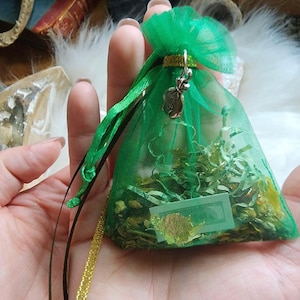 May include: A green mesh bag filled with green and gold paper money, tied with a black ribbon and a gold ribbon. The bag has a silver charm attached to it in the shape of a money bag with a dollar sign.