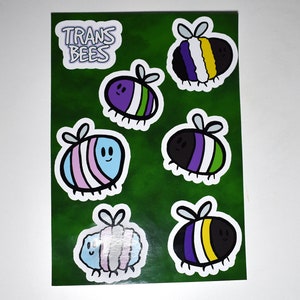 May include: Six colourful bee stickers with different colour combinations of purple, green, yellow, black, white, and blue. The stickers are on a green background with the text "TRANS BEES" at the top.